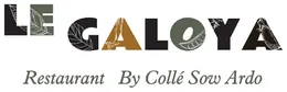 Logo Galoya
