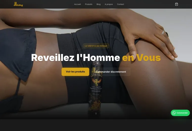 Page d'accueil du site Diblong, réalisé par SIX1 CREATIVE